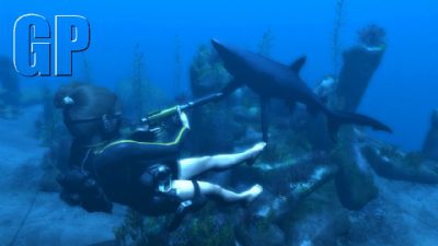 Eidos Interactive has officially launched the new Tomb Raider Portal