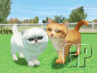 Catz® 2 and Dogz® 2 join Focus Essential range of budget PC software, retailing at just £9.99 each.