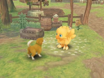 Chocobos Dungeon Release Slips