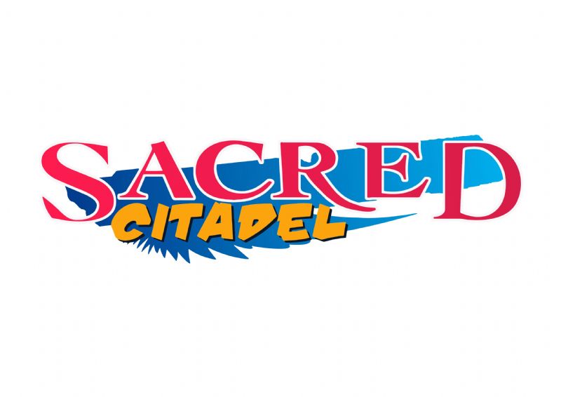 Sacred Citadel set to be the new standard for side-scrolling brawlers