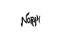 Norah-Development Diary 1