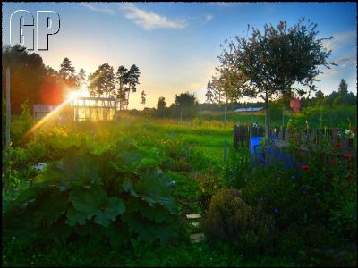 Merscom Releases East Side Story Online