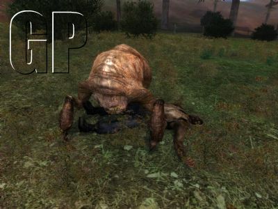 S.T.A.L.K.E.R - Shadow of Chernobyl