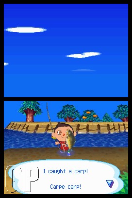 Animal Crossing : Wild World